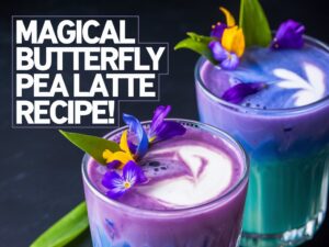 iced butterfly pea flower latte recipe